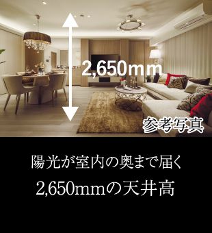 陽光が室内の奥まで届く2,650ｍｍの天井高